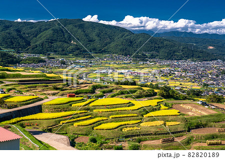 《長野県》黄金色の田園風景・姨捨の棚田 《長野県》黄金色の田園風景・姨捨の棚田 82820189