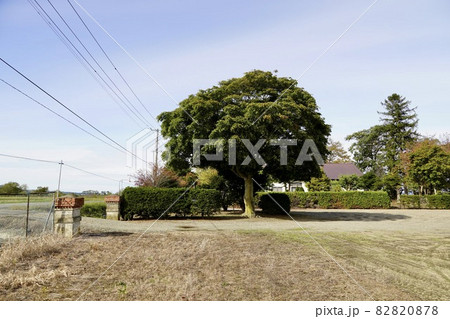 由仁町立岩内小学校（廃校の跡地） 82820878