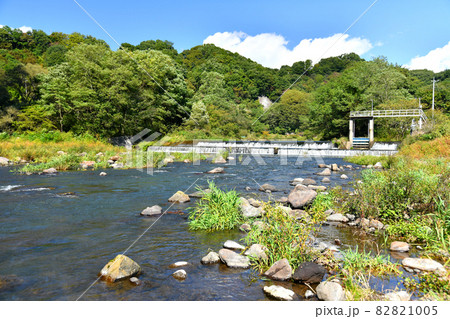 湯川渓流(長野県御代田町)【2021.10】 湯川渓流(長野県御代田町)【2021.10】 82821005