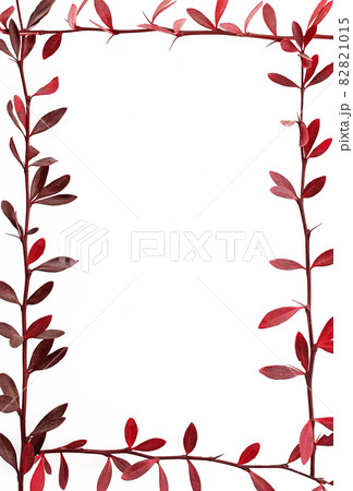 Banner cover with floral frame of plants 82821015
