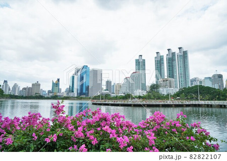 Benjakitti Park in Bangkok(バンコク、ベンジャキティ公園) Benjakitti Park in Bangkok(バンコク、ベンジャキティ公園) 82822107
