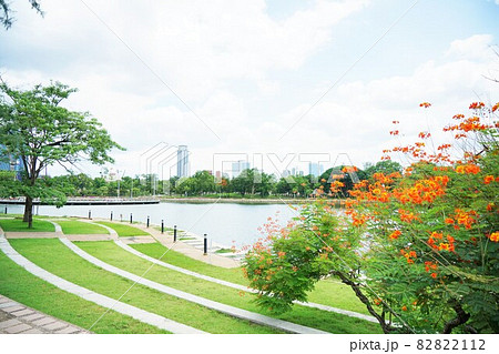 タイ王国バンコク都ベンジャキティ公園 82822112