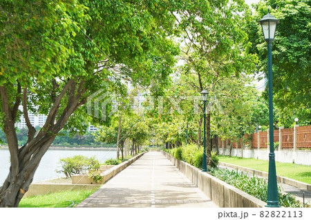 Scenery of Benjakitti Park, Bangkok, Thailand Scenery of Benjakitti Park, Bangkok, Thailand 82822113