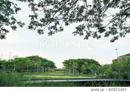 View of Chulalongkorn University Centenary Park View of Chulalongkorn University Centenary Park 82823365