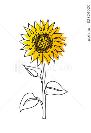 Single sunflower simple vector line illustration. One line art drawing of sunflower 82824020