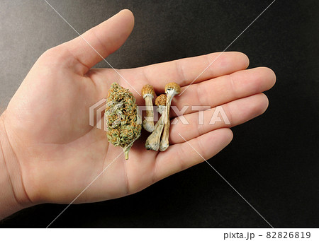 Psychedelic trip, CBD recreation. Psychedelic trip, CBD recreation. 82826819