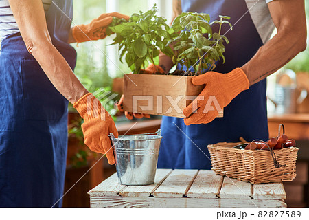 Man and woman working with spicy herbs Man and woman working with spicy herbs 82827589