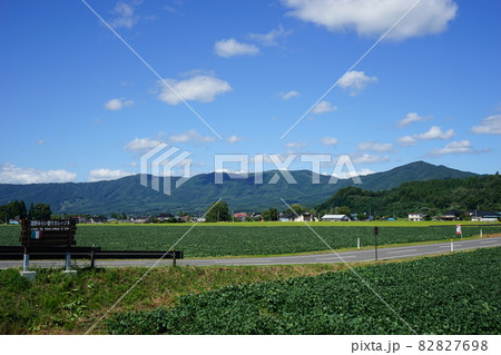 秋の遠野 大豆畑 秋の遠野 大豆畑 82827698