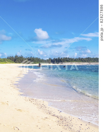 奄美大島　土盛海岸 82827886