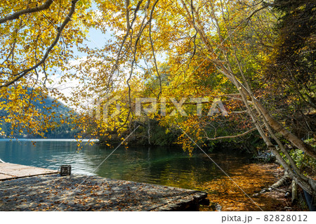 然別湖の紅葉 然別湖の紅葉 82828012