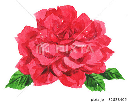 rose211009pix7 rose211009pix7 82828406