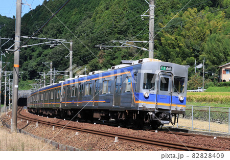 南海高野線　千早口駅付近を走る6500系 82828409