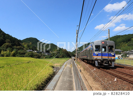 南海高野線 千早口駅付近を走る6500系電車 南海高野線 千早口駅付近を走る6500系電車 82828410