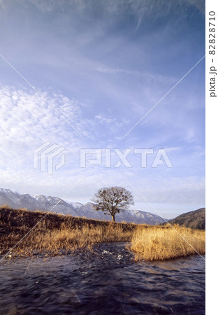 湖西の山々の冠雪と知内川の冬枯れ風景 82828710