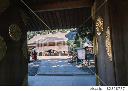 神社仏閣　阿佐ヶ谷神明宮の神門と拝殿　東京都杉並区 82828727