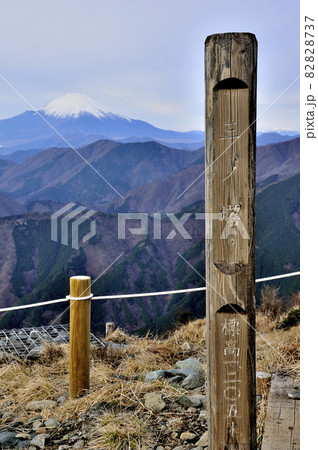 丹沢山地の三ノ塔山頂より望む富士山 丹沢山地の三ノ塔山頂より望む富士山 82828737