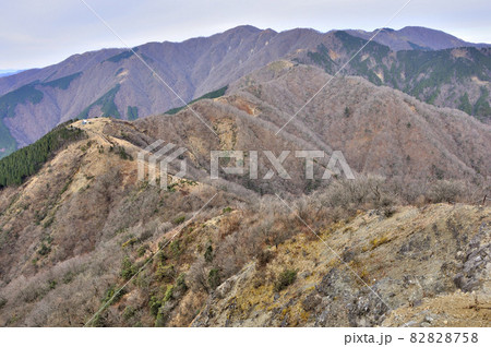 丹沢山地の表尾根 三ノ塔より眺める塔ノ岳と丹沢山 丹沢山地の表尾根 三ノ塔より眺める塔ノ岳と丹沢山 82828758