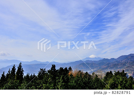 神奈川県秦野市 菜の花台より望む富士山 神奈川県秦野市 菜の花台より望む富士山 82828791