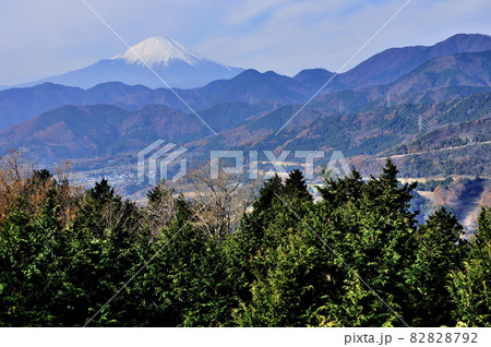 神奈川県秦野市 菜の花台より望む富士山 神奈川県秦野市 菜の花台より望む富士山 82828792