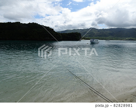 川平湾の綺麗な海 川平湾の綺麗な海 82828981