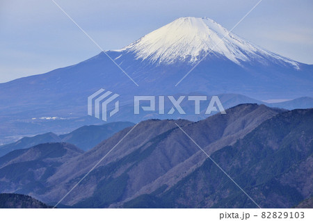 富士山と丹沢山地 表尾根の三ノ塔より眺める 富士山と丹沢山地 表尾根の三ノ塔より眺める 82829103