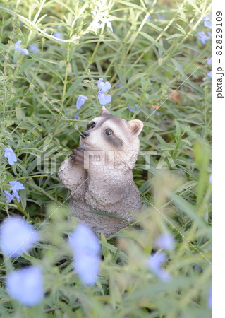 アライグマのオブジェ 82829109