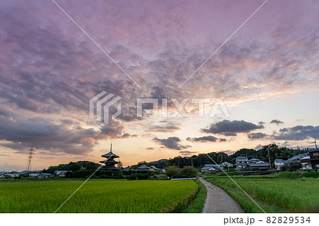 奈良県斑鳩町 世界遺産法起寺の三重塔の見える田んぼと道の夕景 奈良県斑鳩町 世界遺産法起寺の三重塔の見える田んぼと道の夕景 82829534