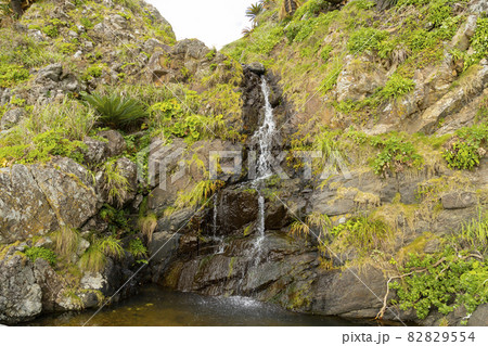 奄美大島最北端　笠利崎灯台　岩を流れ落ちる禊の水 82829554