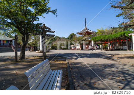 喜多院(埼玉県川越市) 喜多院(埼玉県川越市) 82829710