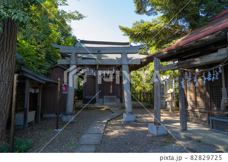 富士稲荷神社（埼玉県川越市） 82829725