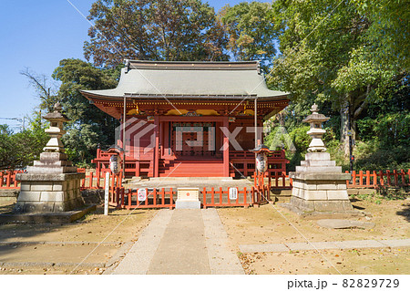 三芳野神社（埼玉県川越市） 82829729