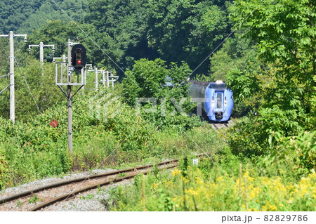 283系気動車 82829786