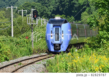 283系気動車 82829787