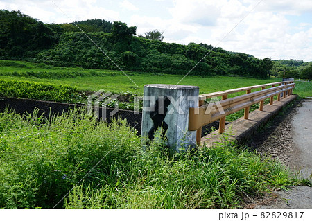 遠野遺産　デンデラ野 82829817