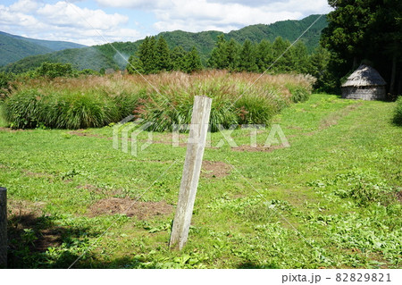 遠野遺産　デンデラ野 82829821