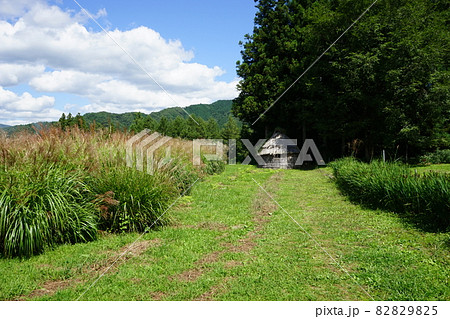遠野遺産　デンデラ野 82829825