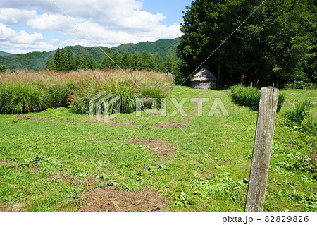 遠野遺産　デンデラ野 82829826