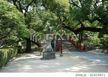 太宰府天満宮　参道・太鼓橋 82829851