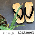 雪駄とアロエ 82830093