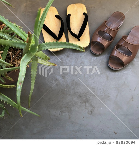 雪駄とベンサンとアロエ 82830094