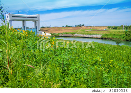 朝霞水門付近の景色 新河岸川 荒川河川敷 朝霞水門付近の景色 新河岸川 荒川河川敷 82830538