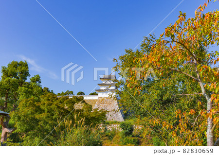 桜の紅葉した日本庭園越しに見る明石城城壁 82830659