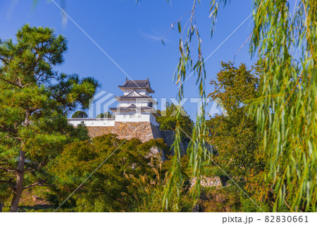 日本庭園越しに見る明石城城壁 82830661