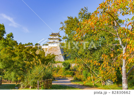桜の紅葉した日本庭園越しに見る明石城城壁 82830662