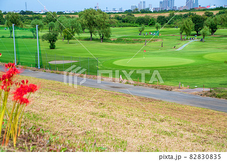 荒川河川敷　ゴルフ場　秋の風景　朝霞水門付近の景色　　　 82830835