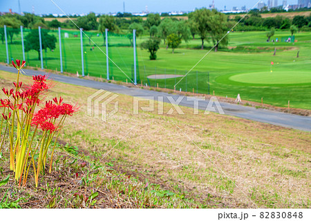 荒川河川敷 ゴルフ場 秋の風景 朝霞水門付近の景色 荒川河川敷 ゴルフ場 秋の風景 朝霞水門付近の景色 82830848