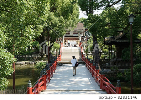太宰府天満宮参道　平橋・太鼓橋と志賀社 82831146