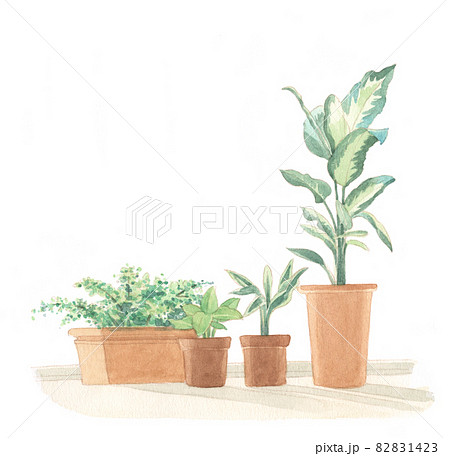 水彩画:観葉植物 水彩画:観葉植物 82831423