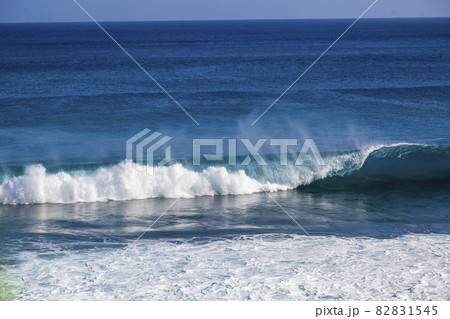 海 海 82831545