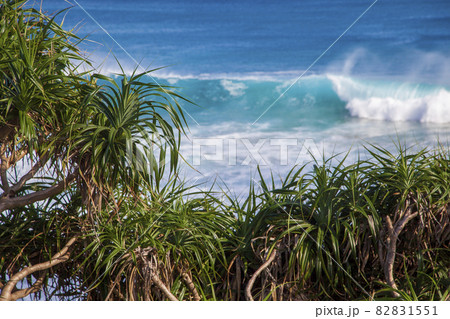 海 海 82831551